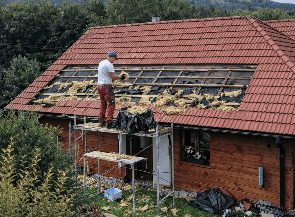 Škody na izolaci střechy způsobené kunou