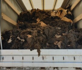 Odstranění původní vatové izolace